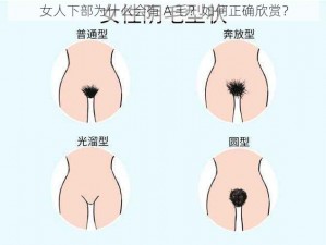 女人下部为什么会有 A 毛？如何正确欣赏？