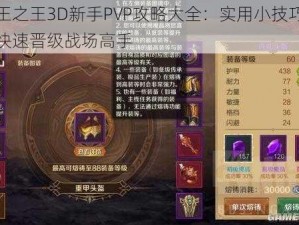 万王之王3D新手PVP攻略大全：实用小技巧助你快速晋级战场高手