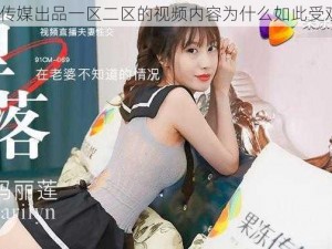 果冻传媒出品一区二区的视频内容为什么如此受欢迎？