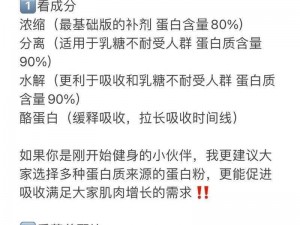 天天风之旅带你揭开蛋白粉神秘面纱：揭秘蛋白粉的功用与装备图鉴