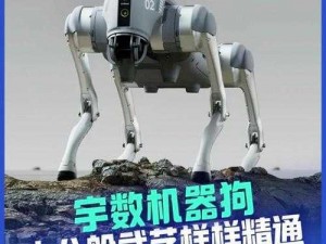 ZOOMSERVO 兽狗产品特点：高速度、高精度、高稳定性