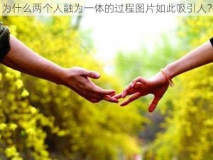 为什么两个人融为一体的过程图片如此吸引人？