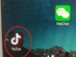 国外无限制短视频软件有哪些？TikTok 让你看到世界的精彩