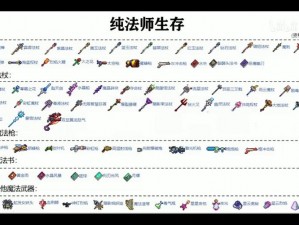 英雄联盟法师攻略大全：装备选择与配置 深入解析法师装备选择之道