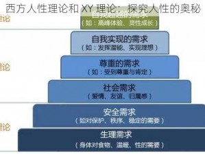 西方人性理论和 XY 理论：探究人性的奥秘