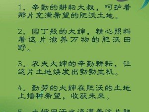 大婶的肥沃的土地有多少字？——探究文字的奥秘