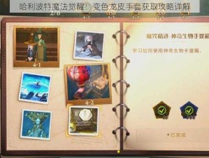 哈利波特魔法觉醒：变色龙皮手套获取攻略详解