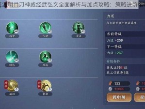 天涯明月刀神威经武弘文全面解析与加点攻略：策略进阶指南