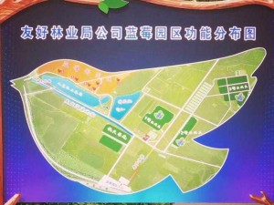 伊春园 2023 入口如何直达任意大片自由搜索？