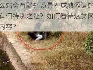 为什么站会有野外场景？成熟涩请站野外模式有何特别之处？如何看待这类网站的野外内容？