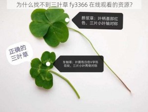 为什么找不到三叶草 fy3366 在线观看的资源？