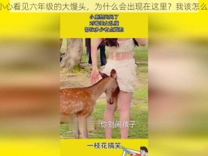 不小心看见六年级的大馒头，为什么会出现在这里？我该怎么办？