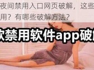 100 款夜间禁用入口网页破解，这些网页为何被禁用？有哪些破解方法？