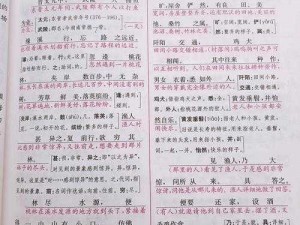 妈妈的桃花源阅读答案：为什么这篇文章能让妈妈如此着迷？