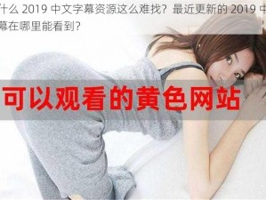 为什么 2019 中文字幕资源这么难找？最近更新的 2019 中文字幕在哪里能看到？