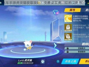 QQ飞车手游虎灵猫获取攻略：免费获取虎灵猫的实用方法分享