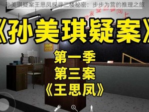 孙美琪疑案王思凤探寻二楼秘密：步步为营的推理之旅