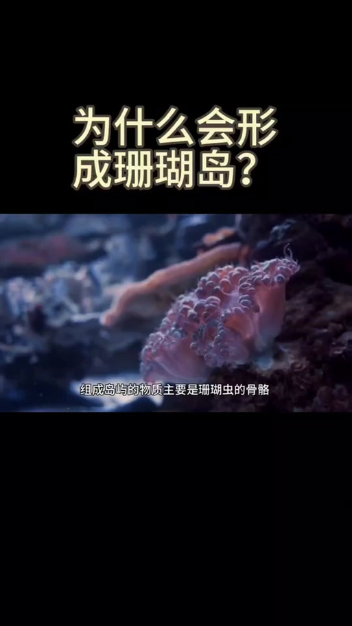 珊瑚岛的生态秘密：虫子刷新周期揭秘