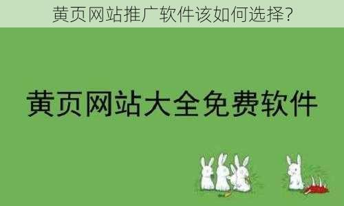 黄页网站推广软件该如何选择？