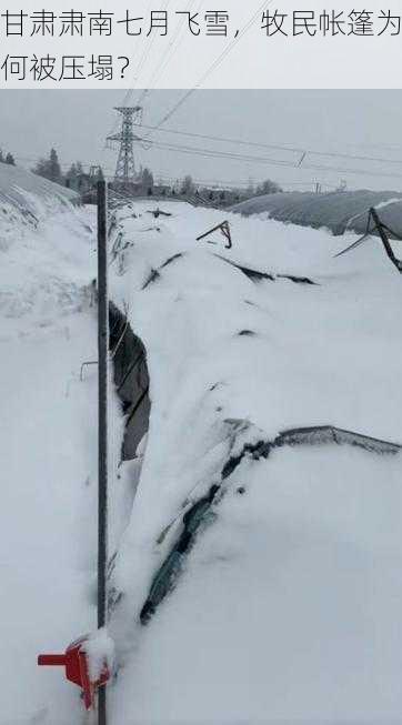 甘肃肃南七月飞雪，牧民帐篷为何被压塌？