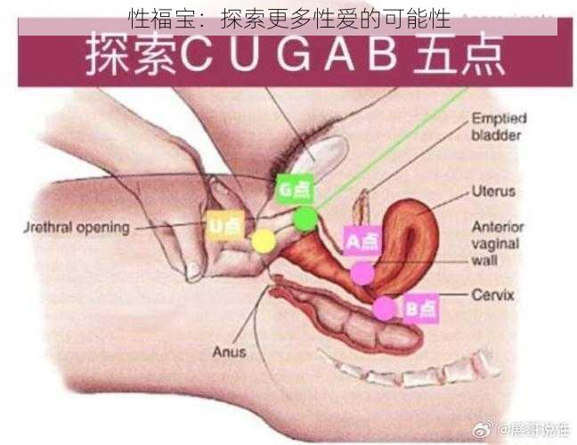 性福宝：探索更多性爱的可能性