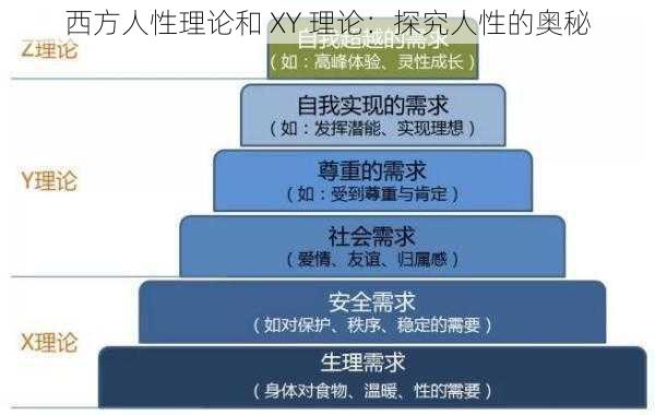 西方人性理论和 XY 理论：探究人性的奥秘