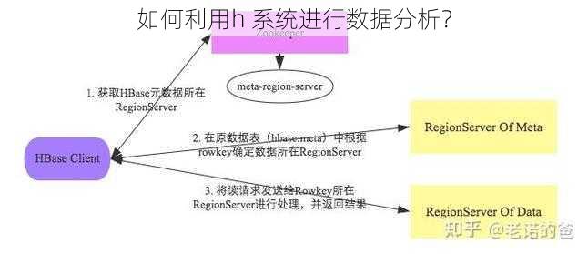 如何利用h 系统进行数据分析？