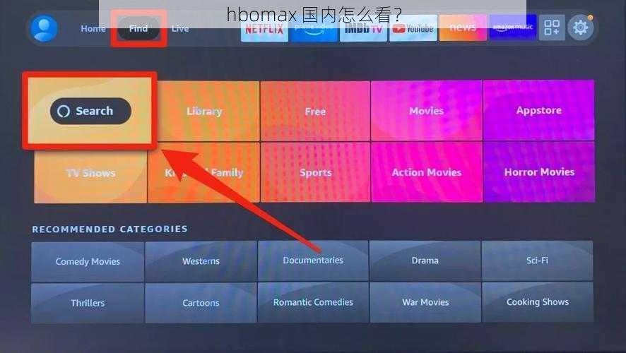 hbomax 国内怎么看？