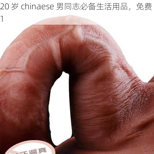 20 岁 chinaese 男同志必备生活用品，免费 1