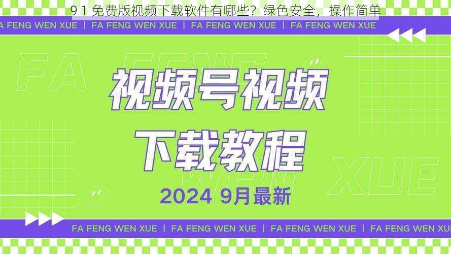 9 1 免费版视频下载软件有哪些？绿色安全，操作简单