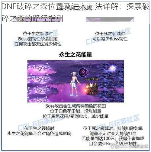 DNF破碎之森位置及进入方法详解：探索破碎之森的路径指引