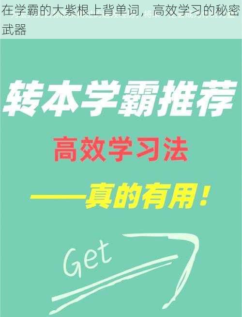 在学霸的大紫根上背单词，高效学习的秘密武器