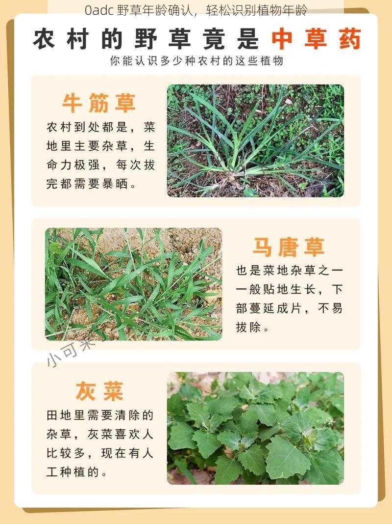 0adc 野草年龄确认，轻松识别植物年龄