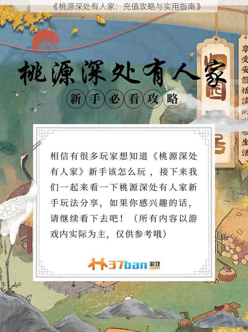 《桃源深处有人家：充值攻略与实用指南》