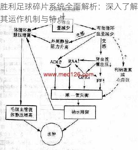 胜利足球碎片系统全面解析：深入了解其运作机制与特点