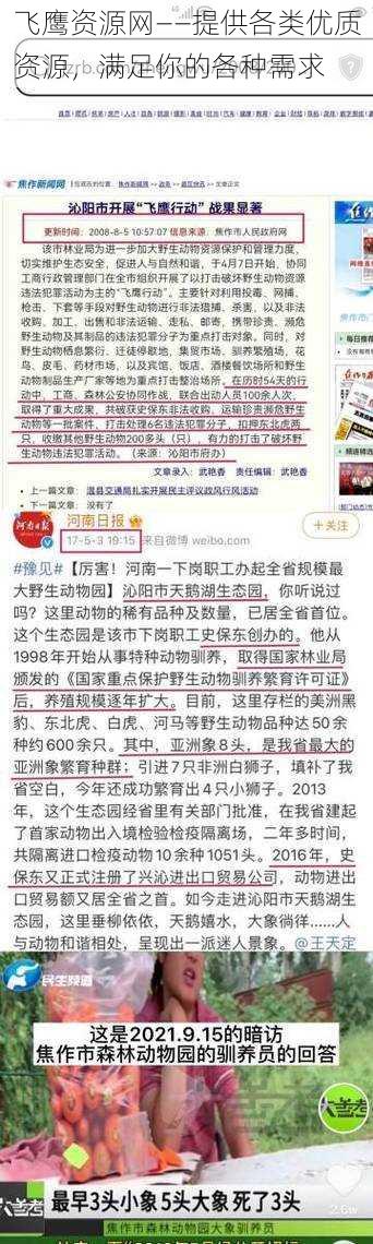 飞鹰资源网——提供各类优质资源，满足你的各种需求