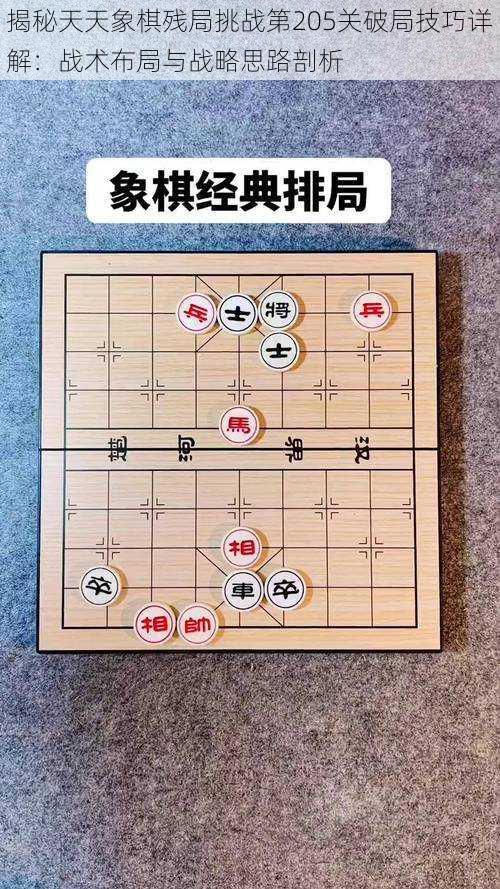 揭秘天天象棋残局挑战第205关破局技巧详解：战术布局与战略思路剖析