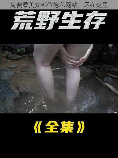 免费看美女部位隐私网站，尽在这里