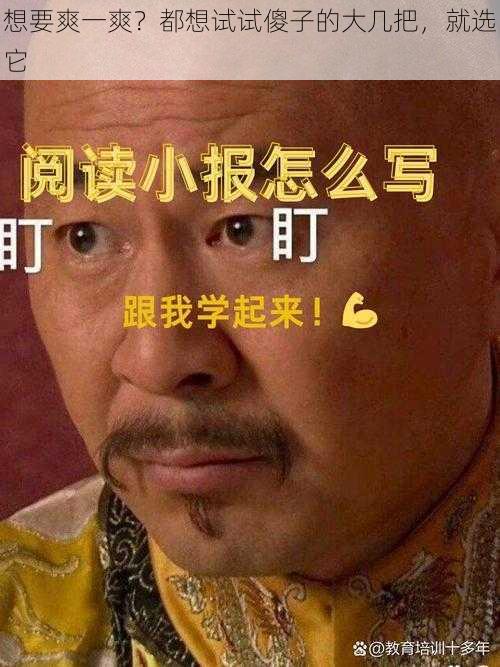 想要爽一爽？都想试试傻子的大几把，就选它