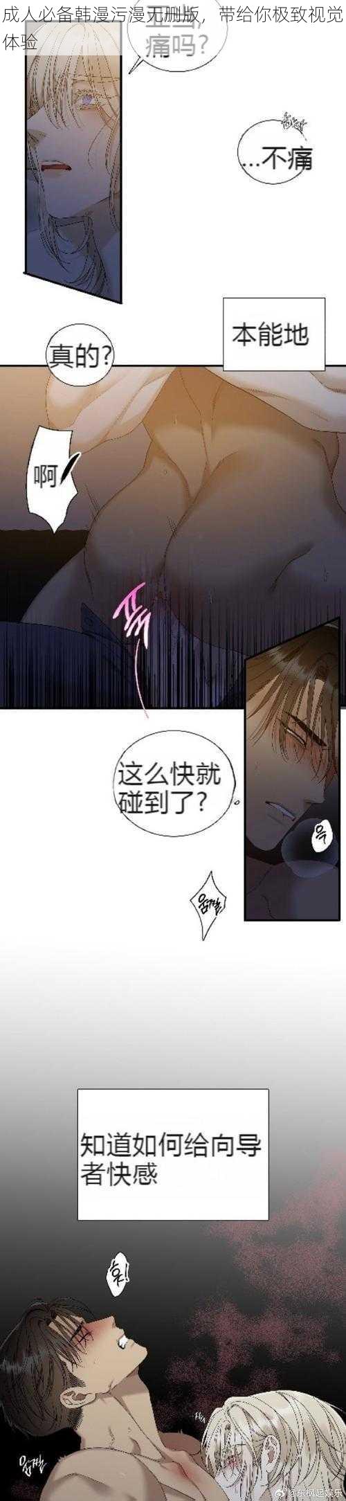 成人必备韩漫污漫无删版，带给你极致视觉体验