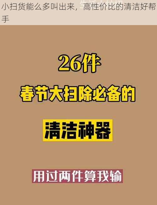 小扫货能么多叫出来，高性价比的清洁好帮手