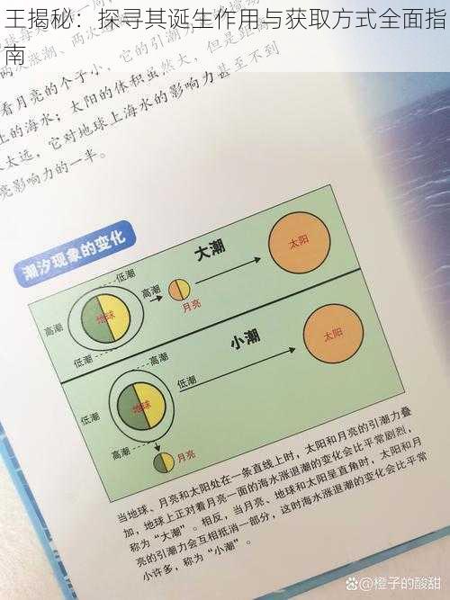 王揭秘：探寻其诞生作用与获取方式全面指南