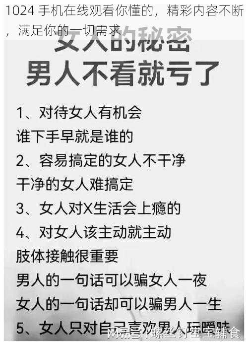 1024 手机在线观看你懂的，精彩内容不断，满足你的一切需求