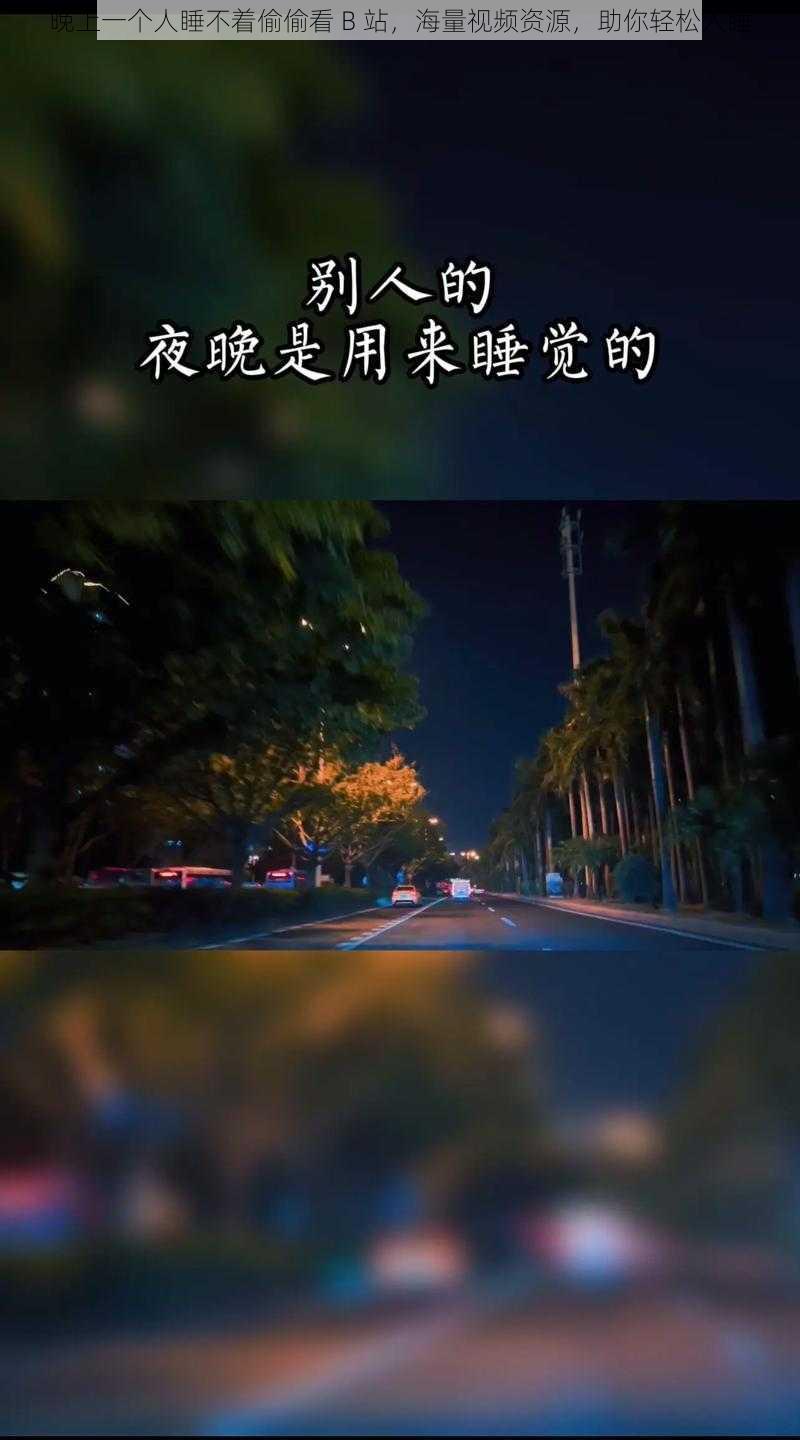 晚上一个人睡不着偷偷看 B 站，海量视频资源，助你轻松入睡