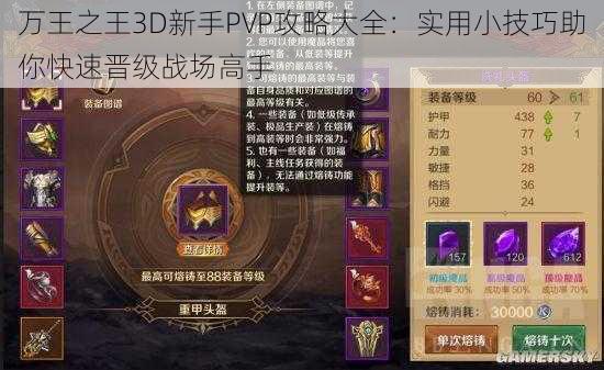 万王之王3D新手PVP攻略大全：实用小技巧助你快速晋级战场高手