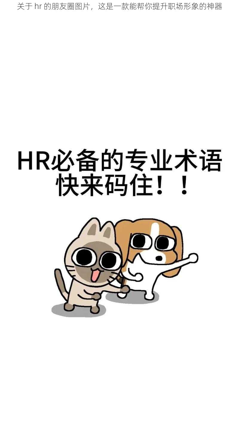 关于 hr 的朋友圈图片，这是一款能帮你提升职场形象的神器