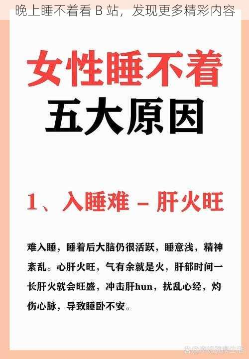 晚上睡不着看 B 站，发现更多精彩内容