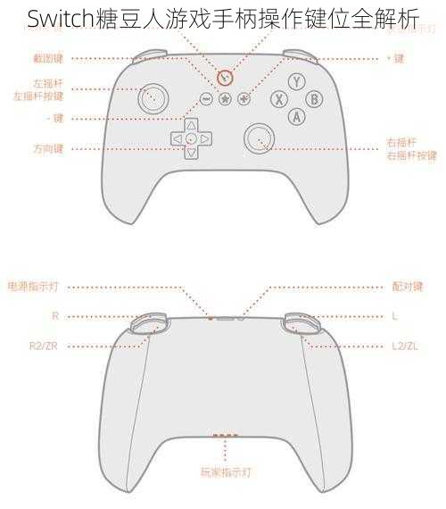 Switch糖豆人游戏手柄操作键位全解析