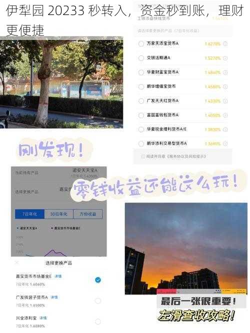 伊犁园 20233 秒转入，资金秒到账，理财更便捷