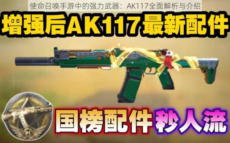 使命召唤手游中的强力武器：AK117全面解析与介绍